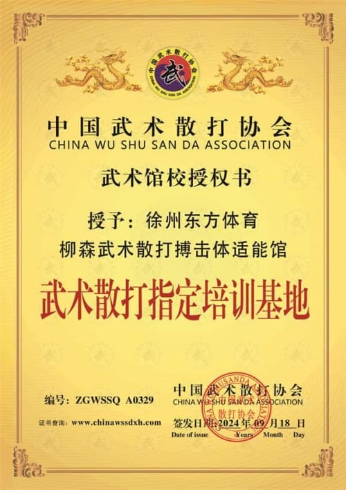 徐州东方体育柳森武术散打搏击体适能馆