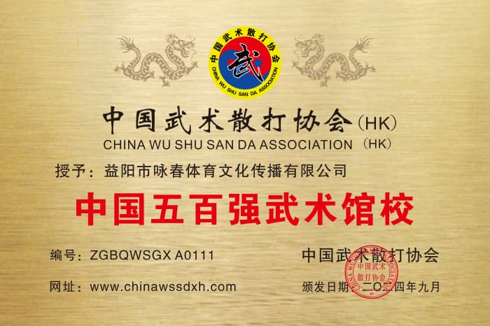 益阳市咏春体育文化传播有限公司